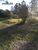 Sítio, 3 quartos, 7 hectares - Foto 4