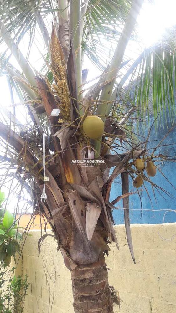 Casa, 4 quartos - Foto 18