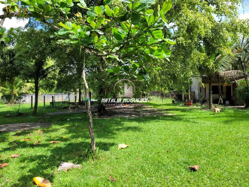 Chácara, 2 quartos, 6000 m² - Foto 9