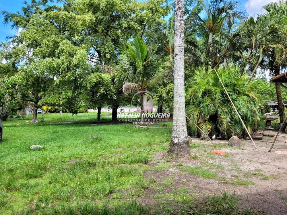 Chácara, 2 quartos, 6000 m² - Foto 5