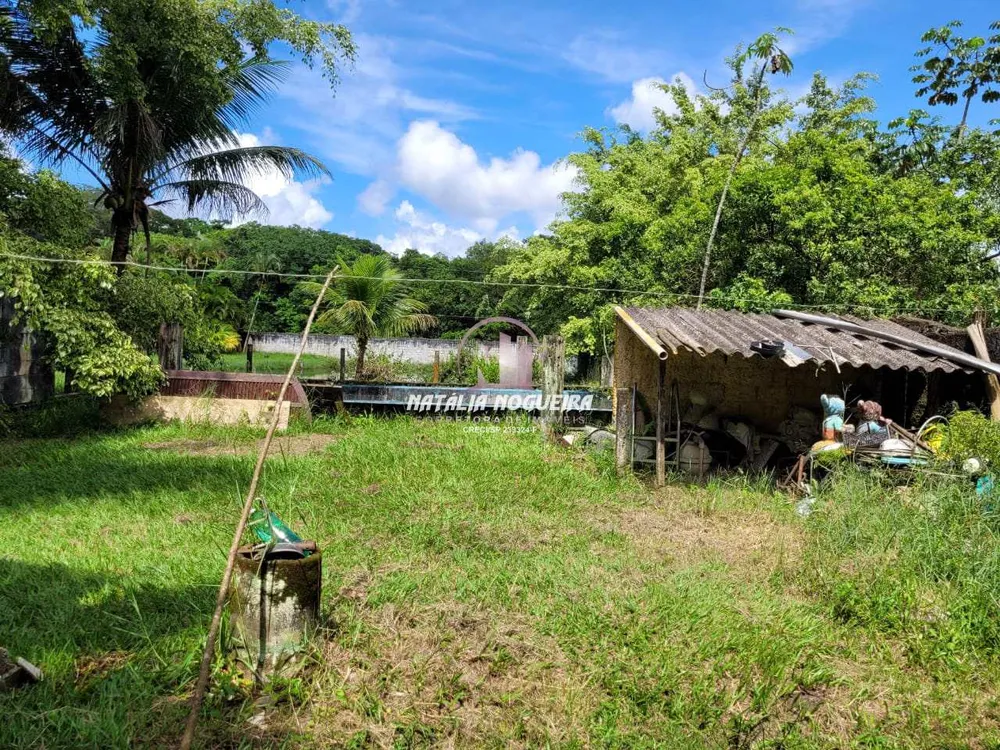 Chácara, 2 quartos, 6000 m² - Foto 3