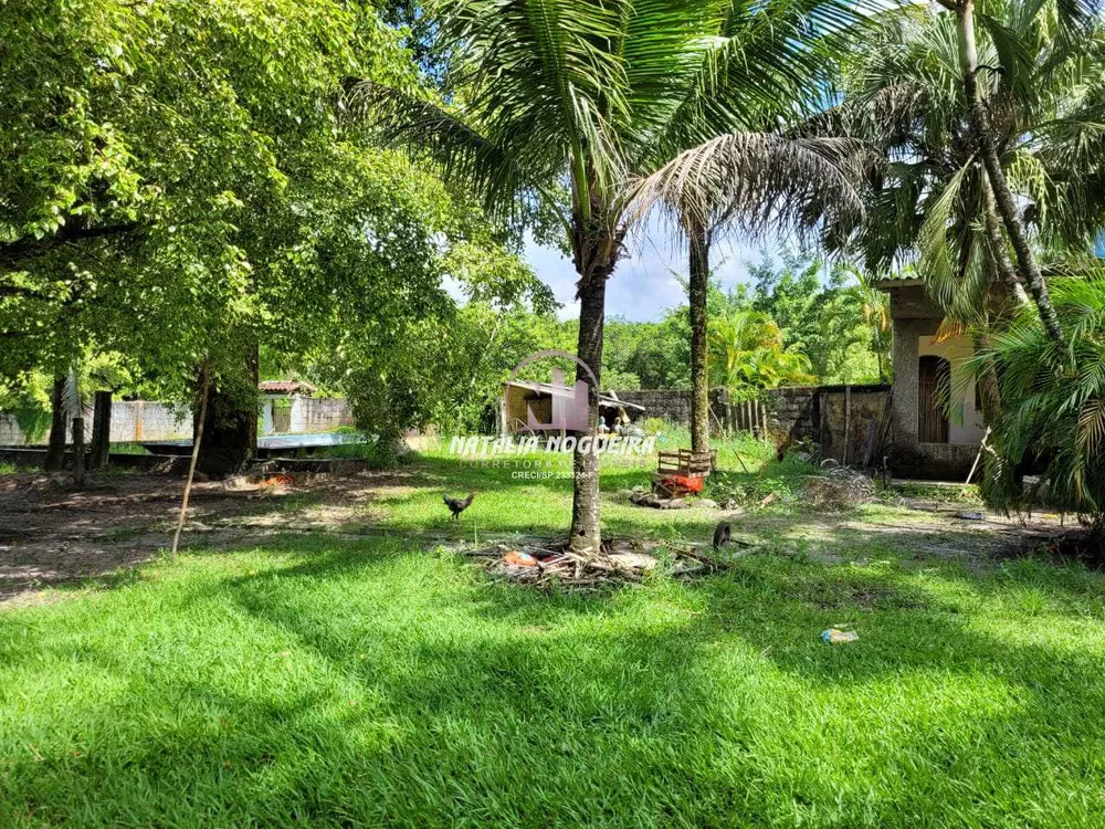 Chácara, 2 quartos, 6000 m² - Foto 4