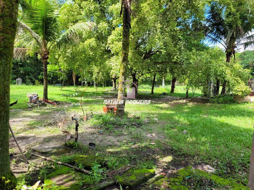 Chácara, 2 quartos, 6000 m² - Foto 2