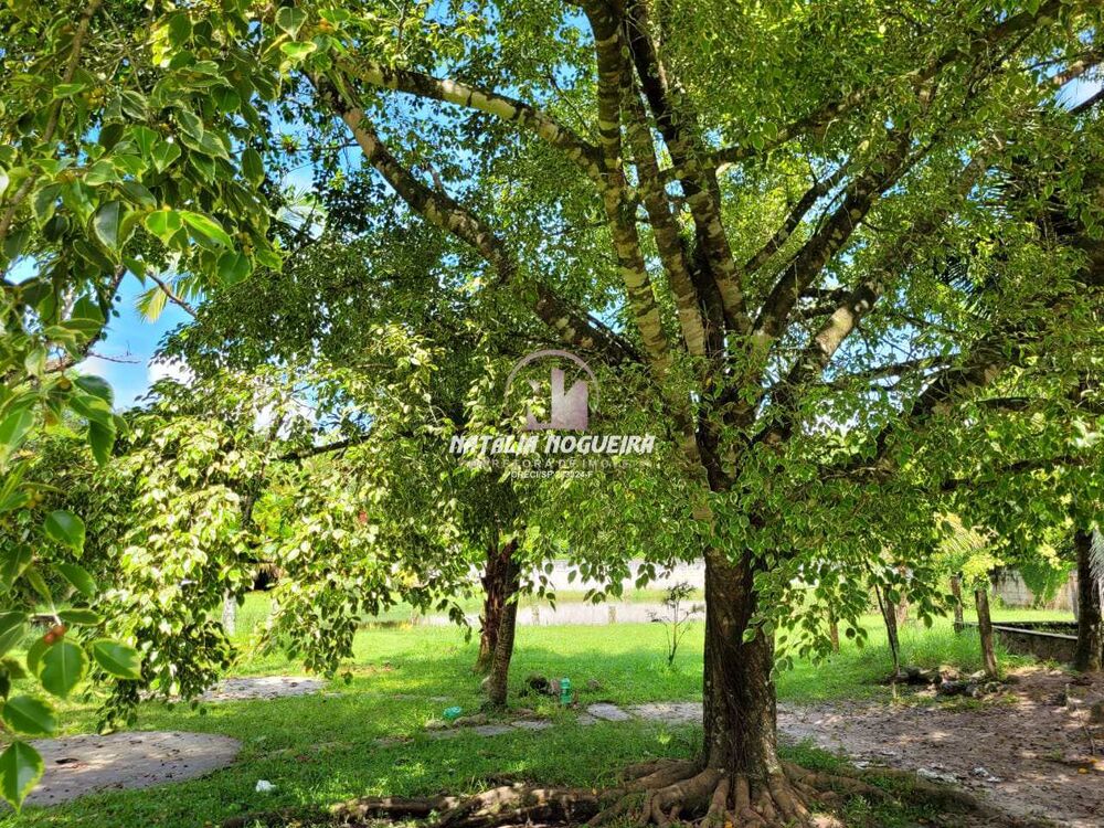 Chácara, 2 quartos, 6000 m² - Foto 1