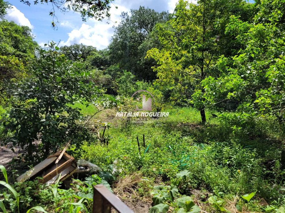 Chácara, 2 quartos, 6000 m² - Foto 11