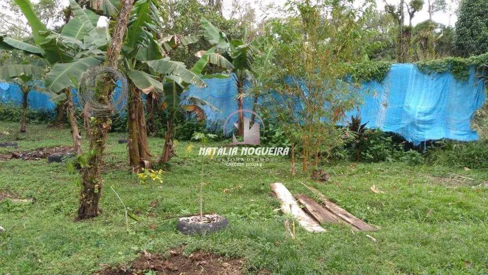 Chácara, 1 quarto, 2750 m² - Foto 3