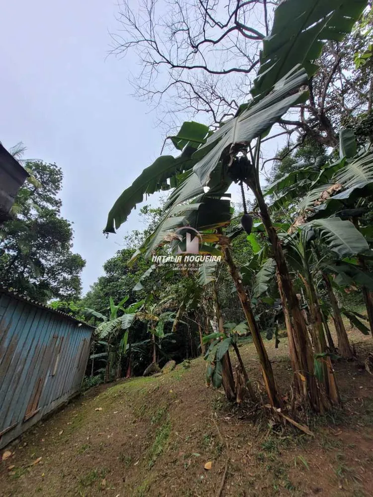 Sítio, 2 quartos, 5600 m² - Foto 13