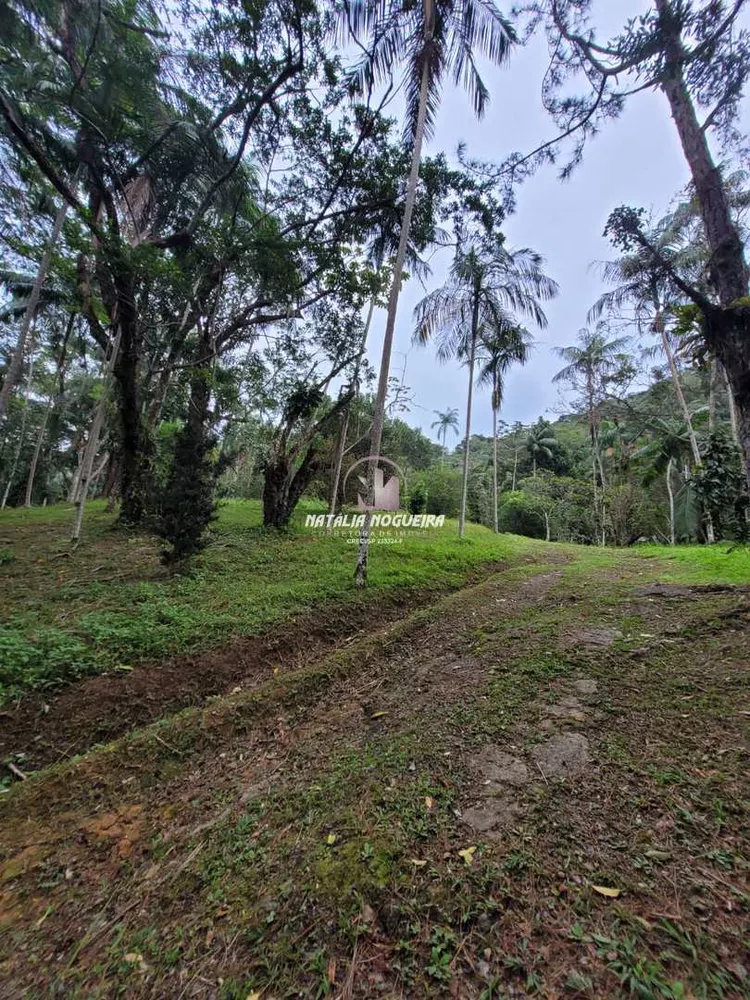 Sítio, 2 quartos, 5600 m² - Foto 4