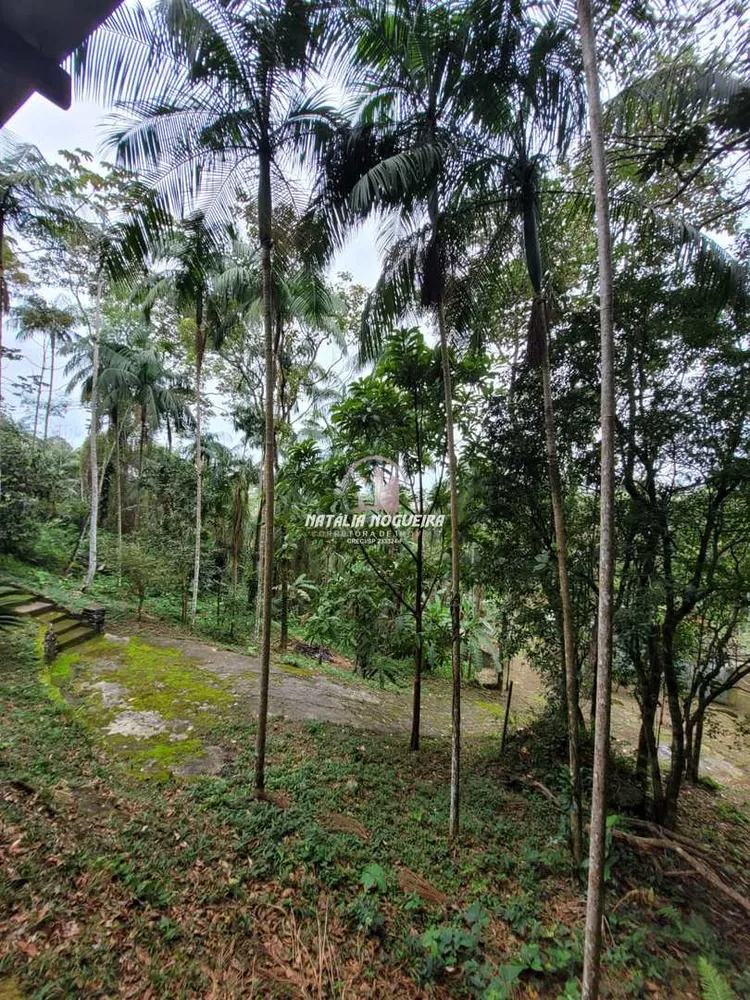 Sítio, 2 quartos, 5600 m² - Foto 8