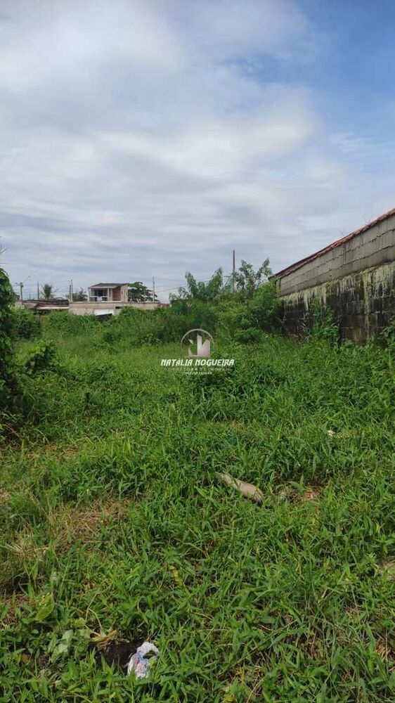 Terreno, 250 m² - Foto 5