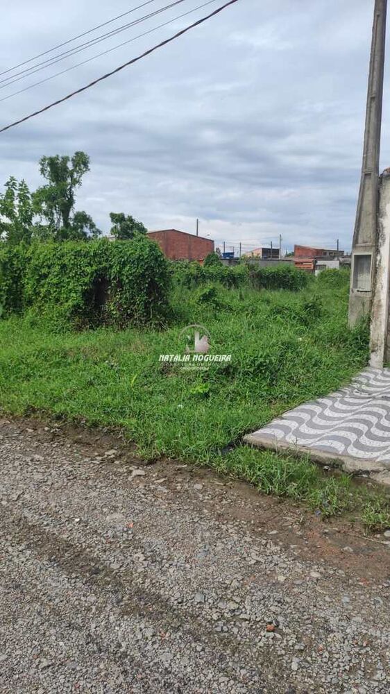 Terreno, 250 m² - Foto 3