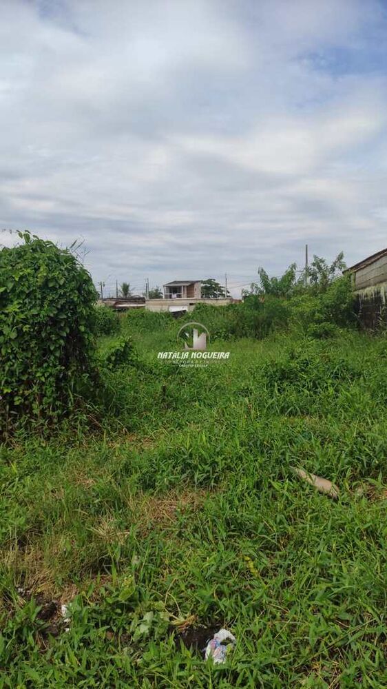 Terreno, 250 m² - Foto 2