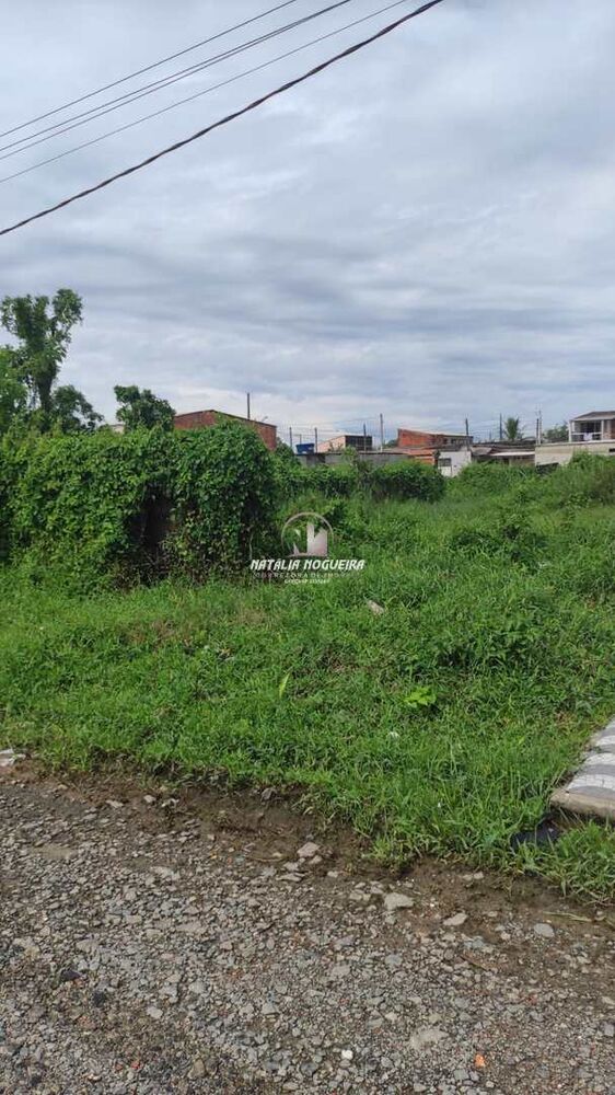 Terreno, 250 m² - Foto 4