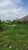 Terreno, 250 m² - Foto 3