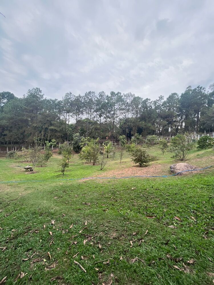 Chácara, 2 quartos, 1 hectares - Foto 11