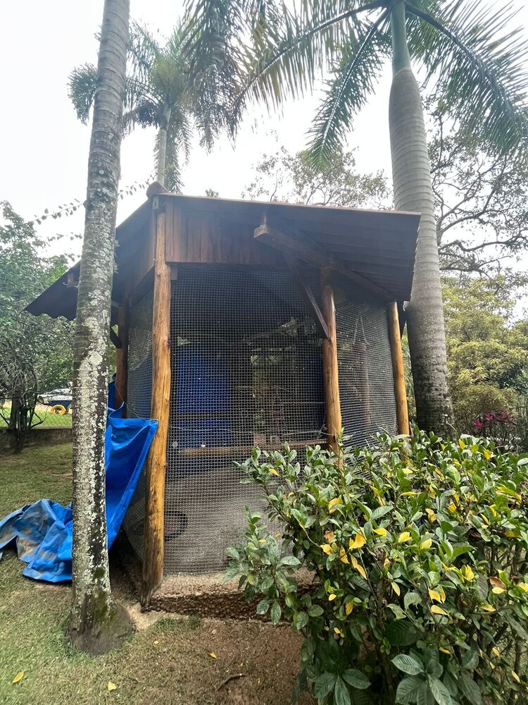 Chácara, 2 quartos, 1 hectares - Foto 3