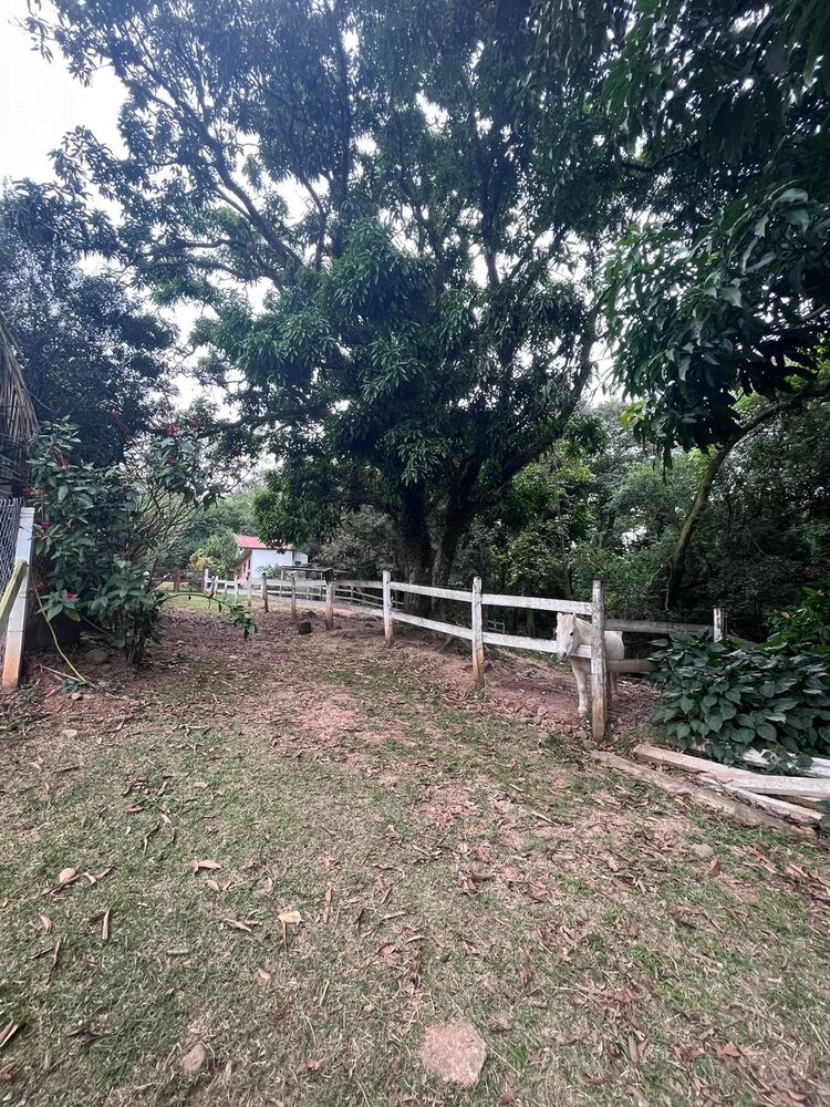 Chácara, 2 quartos, 1 hectares - Foto 14