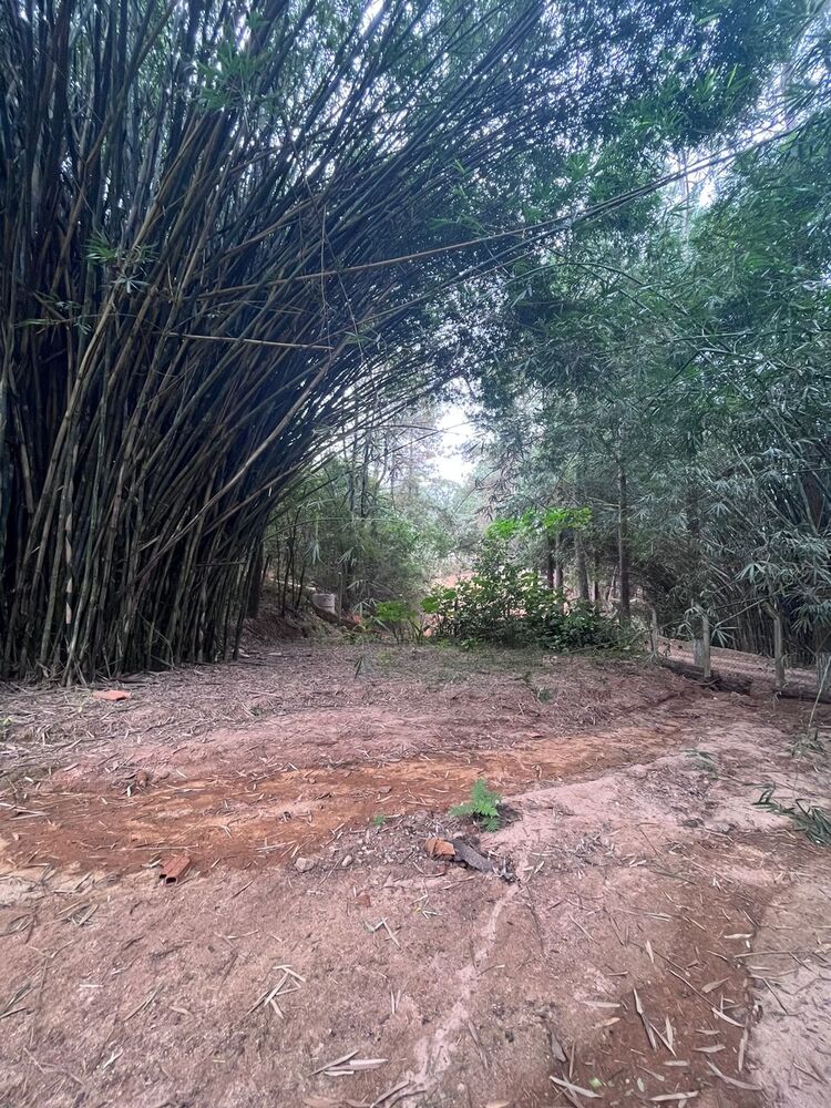 Chácara, 2 quartos, 1 hectares - Foto 10