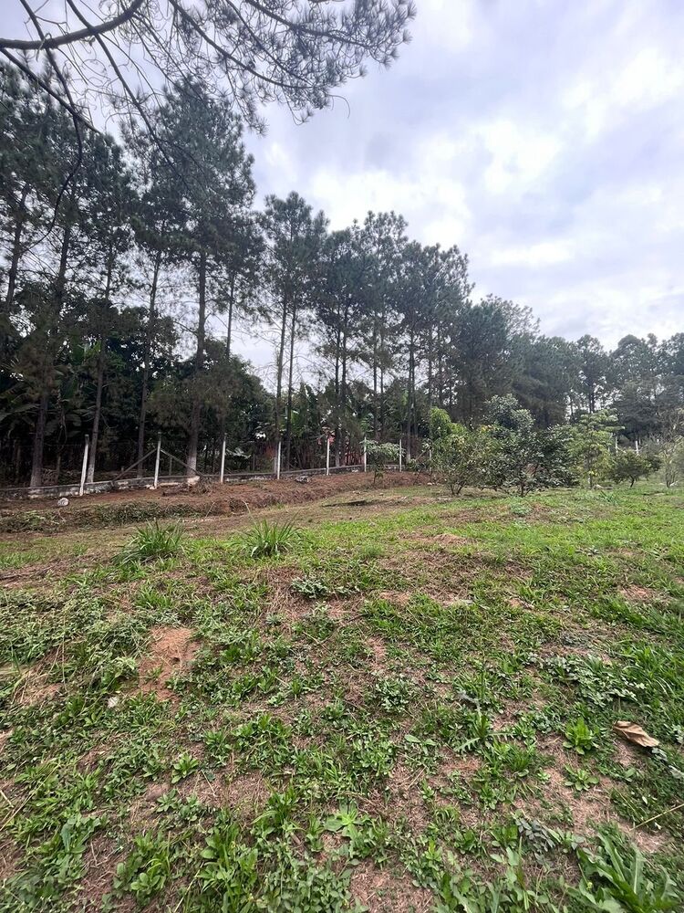 Chácara, 2 quartos, 1 hectares - Foto 9