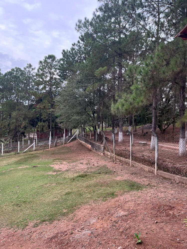 Chácara, 2 quartos, 1 hectares - Foto 17