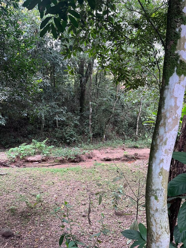 Chácara, 2 quartos, 1 hectares - Foto 7