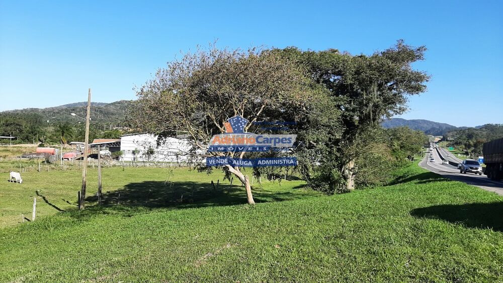 Terreno, 3 hectares - Foto 11