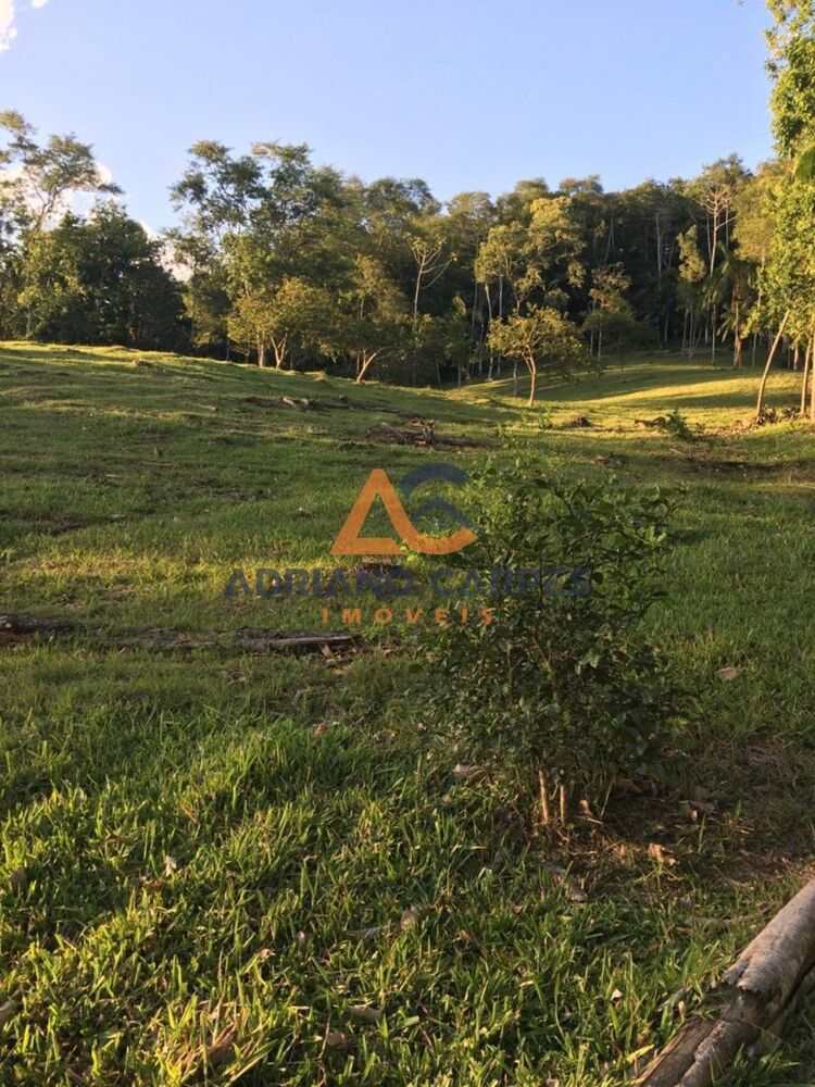 Terreno à venda, 236m² - Foto 3