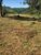 Terreno, 236 m² - Foto 2