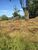 Terreno, 236 m² - Foto 4