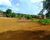 Terreno, 6600 m² - Foto 3