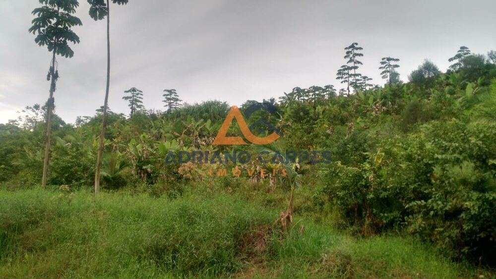 Terreno, 1 hectares - Foto 3