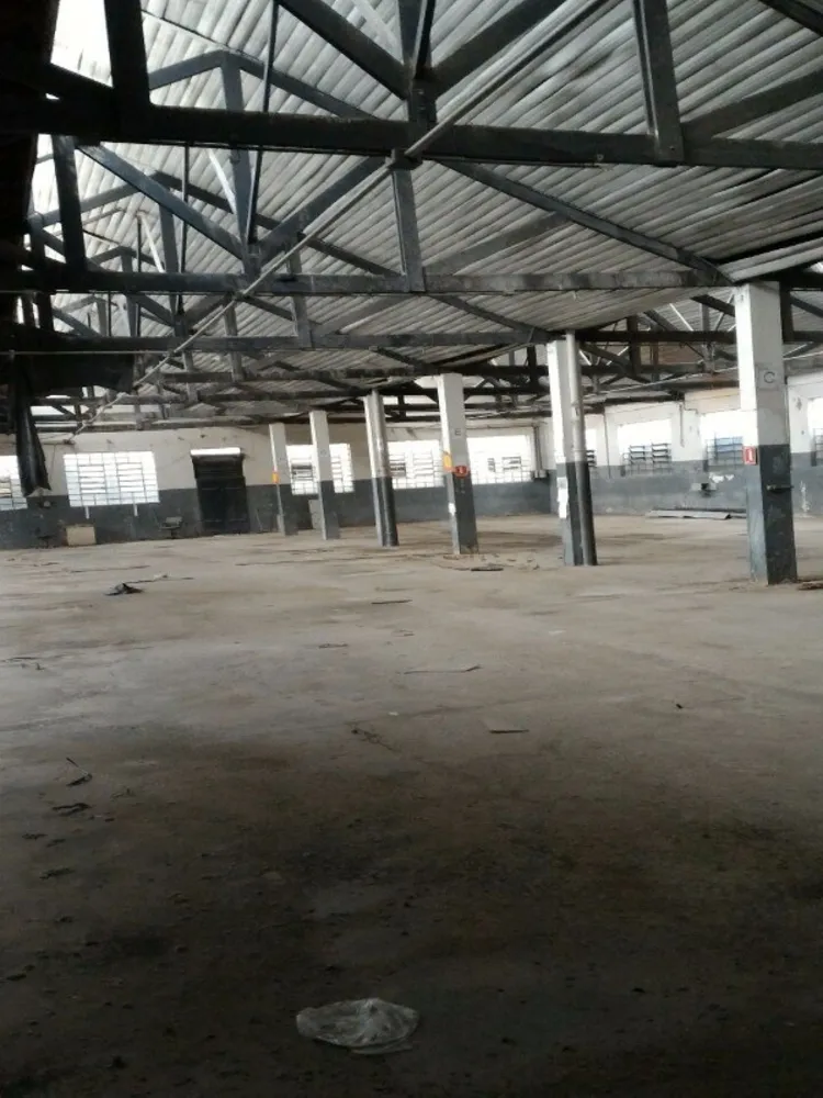 Terreno, 2125 m² - Foto 4