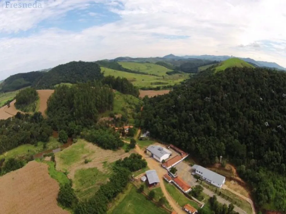 Fazenda, 638 hectares - Foto 4