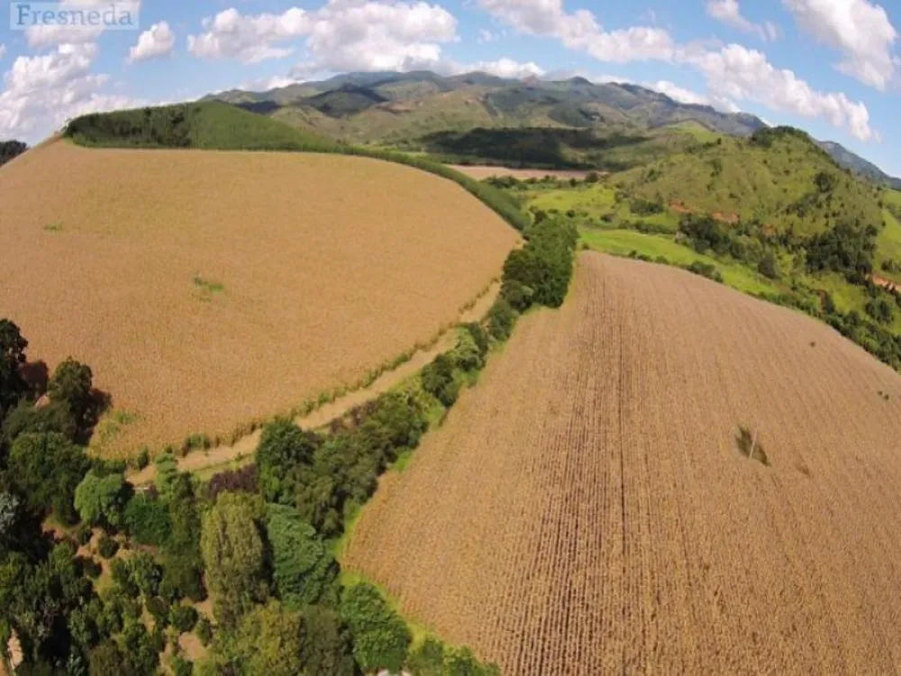 Fazenda, 638 hectares - Foto 2