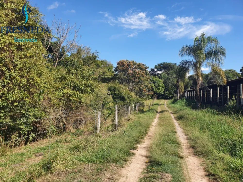 Sítio, 5 quartos, 400 m² - Foto 4