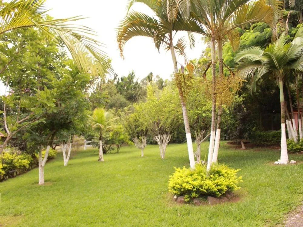 Sítio, 3 quartos, 2 hectares - Foto 2