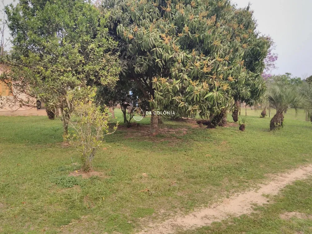 Sítio, 2 quartos, 3000 hectares - Foto 4
