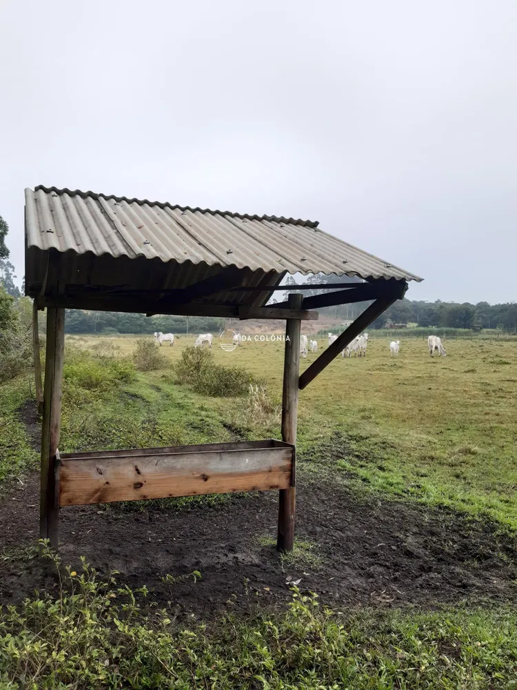 Fazenda, 20 hectares - Foto 1