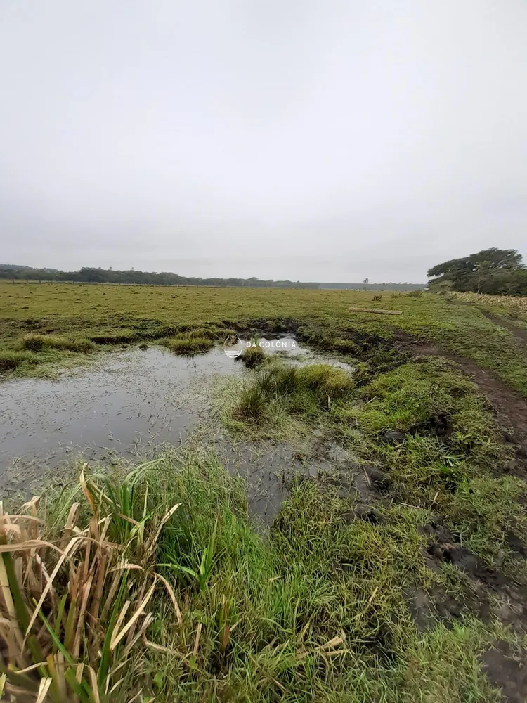 Fazenda, 20 hectares - Foto 3