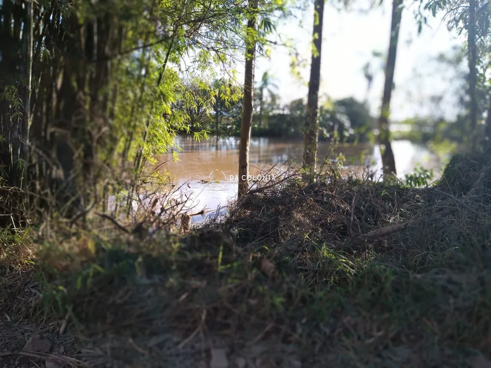 Chácara, 3 quartos, 2 hectares - Foto 4