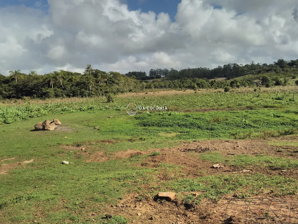 Sítio, 2 quartos, 30020 hectares - Foto 4