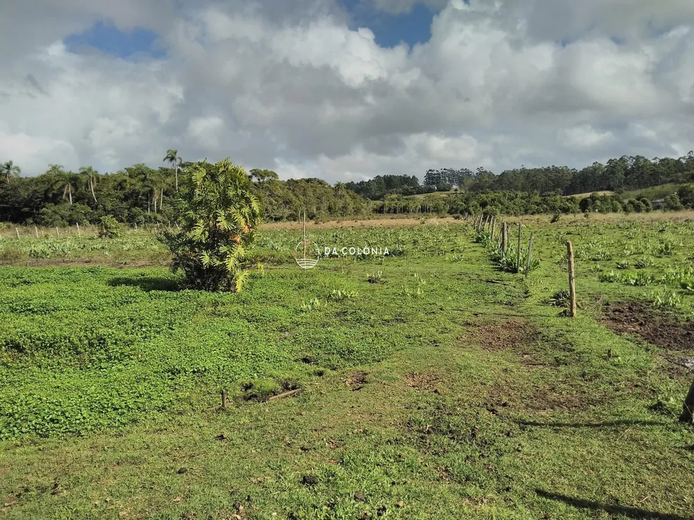 Sítio, 2 quartos, 30020 hectares - Foto 1