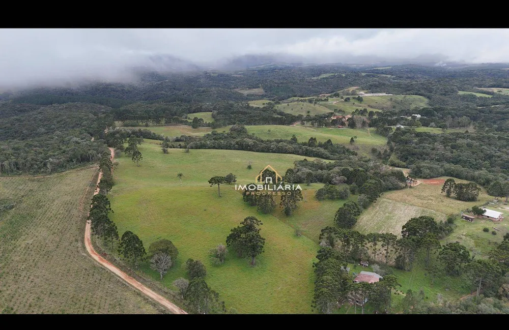 Fazenda, 52 hectares - Foto 3