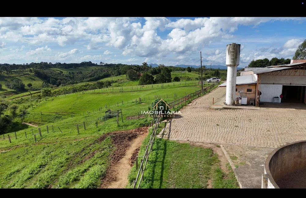 Fazenda, 52 hectares - Foto 10