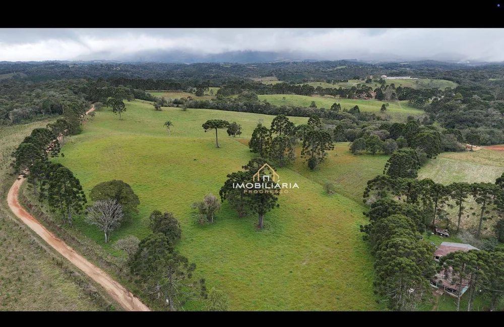 Fazenda, 52 hectares - Foto 2