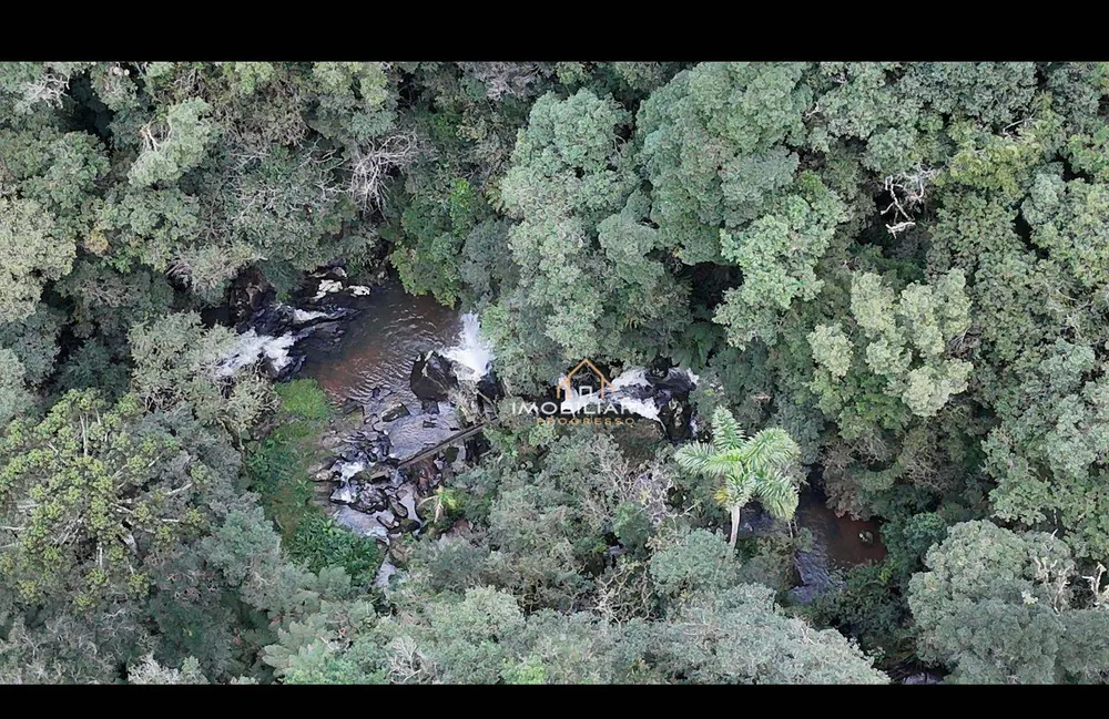 Fazenda, 52 hectares - Foto 4