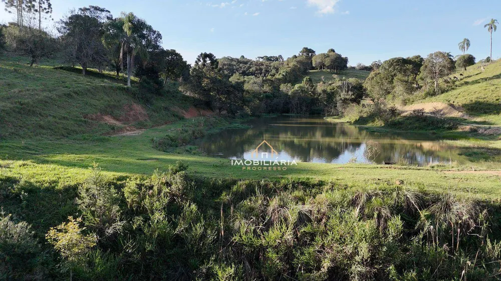 Fazenda, 52 hectares - Foto 6