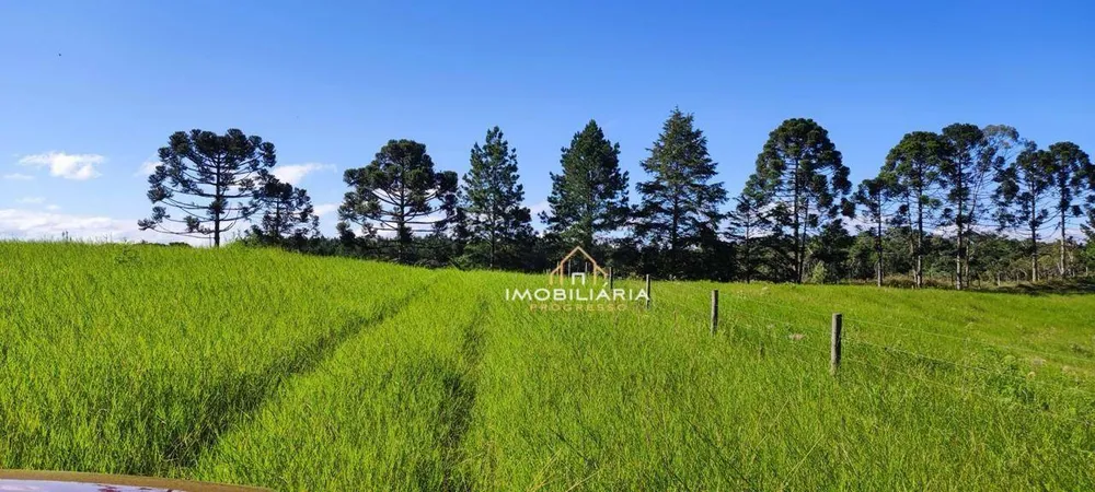 Fazenda, 52 hectares - Foto 8