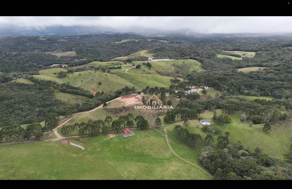 Fazenda, 52 hectares - Foto 9