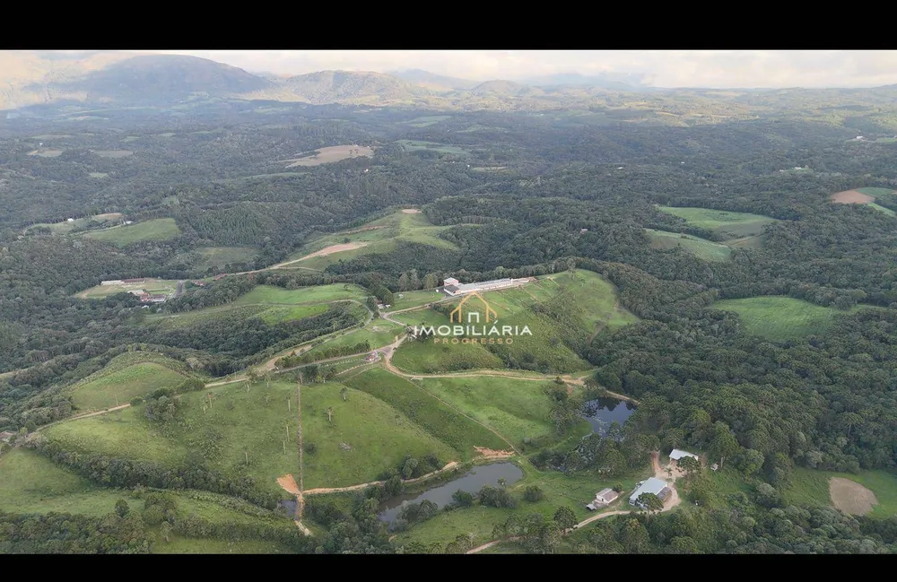 Fazenda, 52 hectares - Foto 11